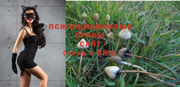 бошки Алзамай