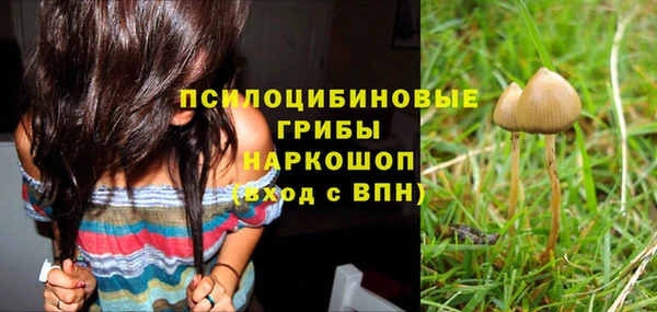 прущие грибы Алексеевка