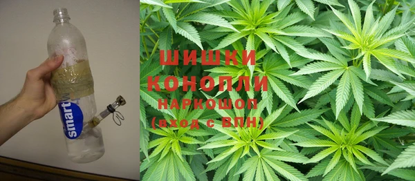 прущие грибы Алексеевка