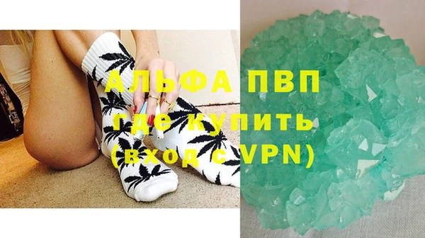 ECSTASY Покачи