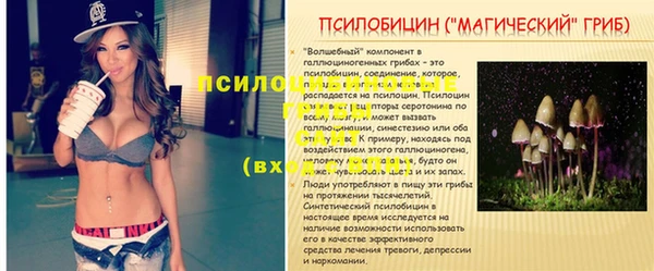 амф Алексин