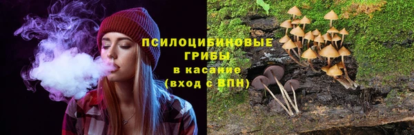амф Алексин