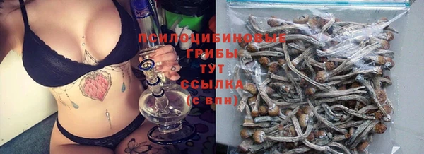 прущие грибы Алексеевка