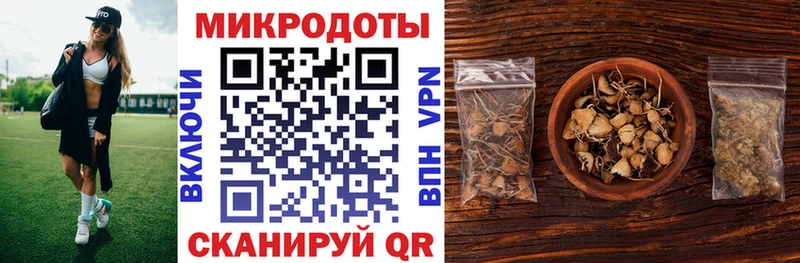Псилоцибиновые грибы MAGIC MUSHROOMS  цена наркотик  Ливны 